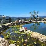 Coja Mountain Perch * Vinho (Coimbra)