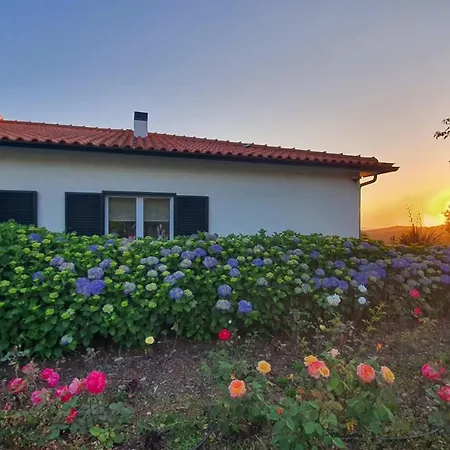 Villa Coja Mountain Perch Vinho (Coimbra)