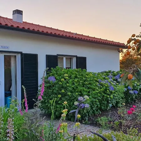 Coja Mountain Perch Vinho (Coimbra)