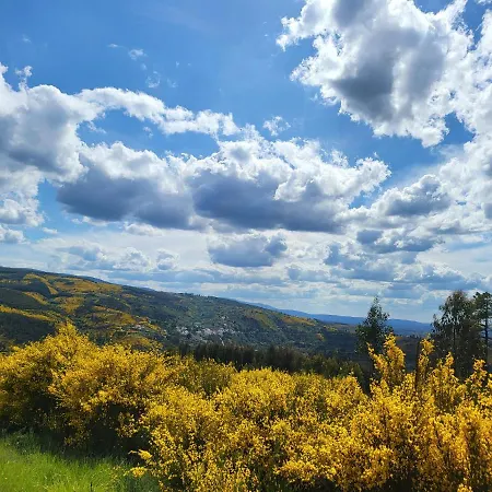 Coja Mountain Perch *