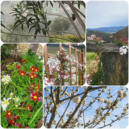 Coja Mountain Perch Villa Vinho (Coimbra)