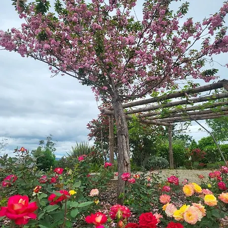 Coja Mountain Perch Villa Vinho (Coimbra)