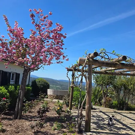 Villa Coja Mountain Perch Vinho (Coimbra)