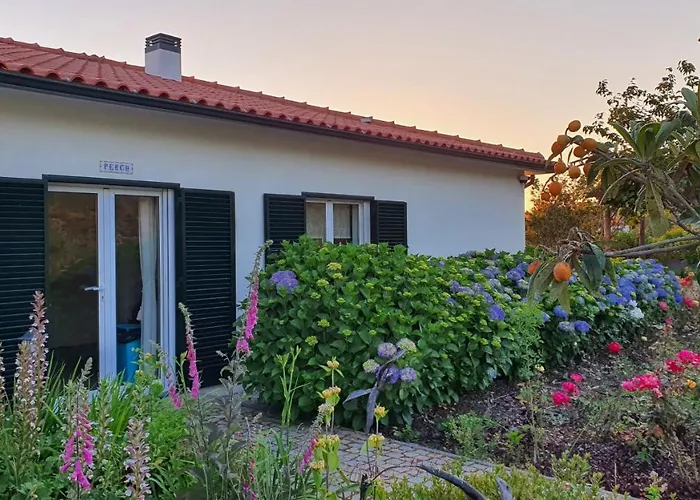 Coja Mountain Perch Vinho (Coimbra)