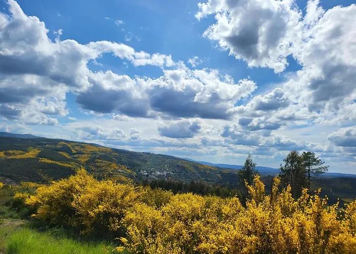 Coja Mountain Perch *