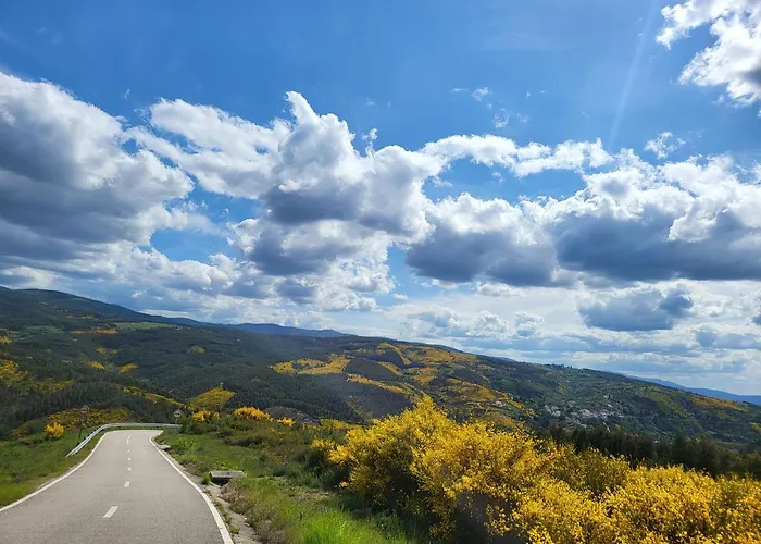 Coja Mountain Perch * Vinho (Coimbra)