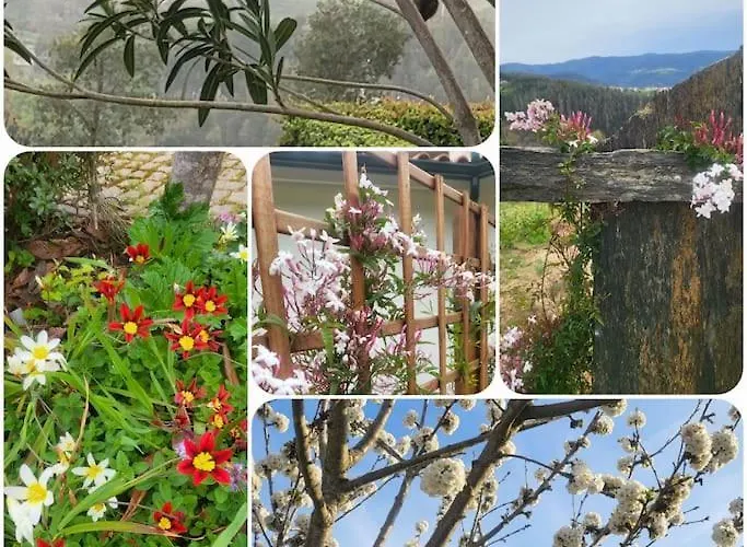 Coja Mountain Perch Villa Vinho (Coimbra)