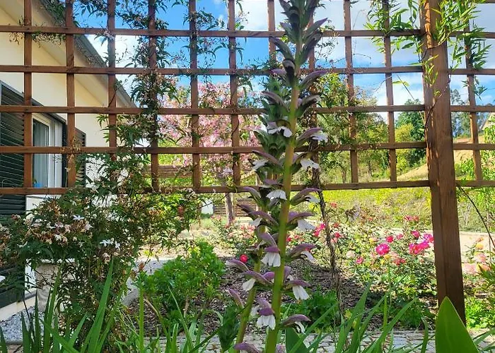 Coja Mountain Perch * Vinho (Coimbra)