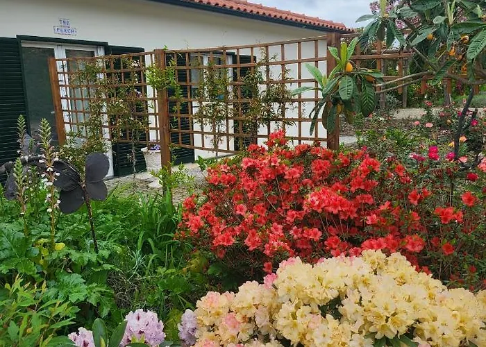 Coja Mountain Perch Vinho (Coimbra)