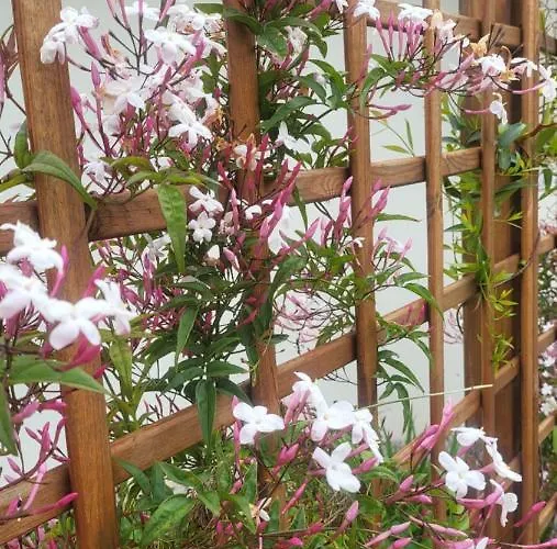 Villa Coja Mountain Perch Vinho (Coimbra)