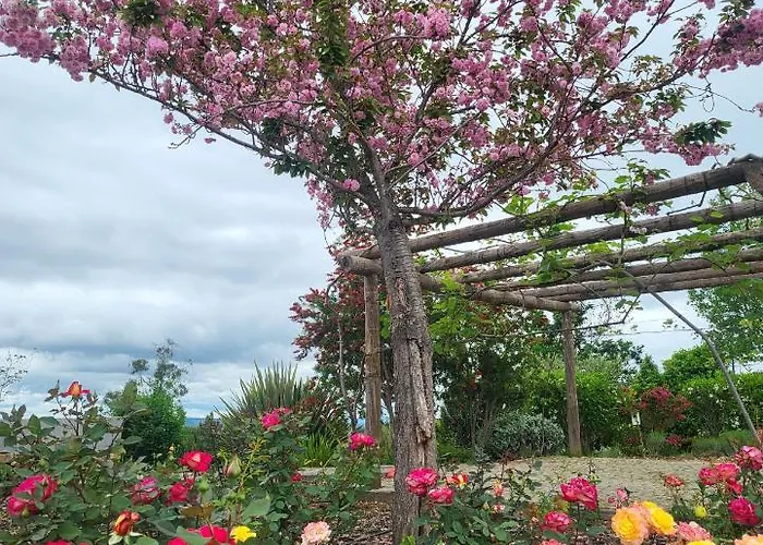 Coja Mountain Perch Villa Vinho (Coimbra)