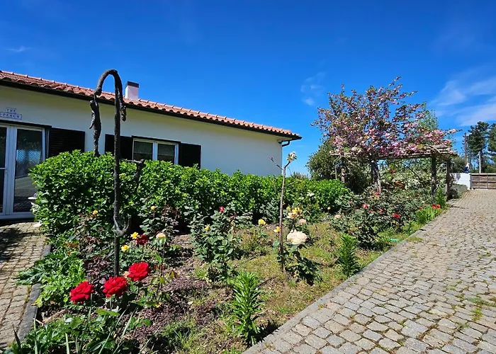 Coja Mountain Perch Villa Vinho (Coimbra)