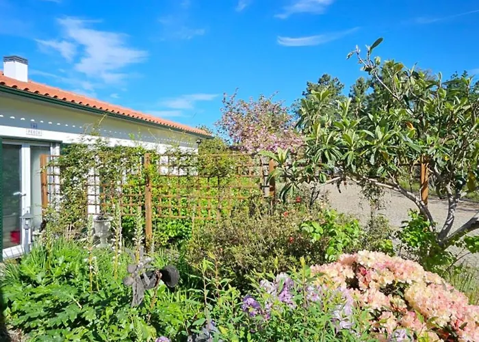 Villa Coja Mountain Perch