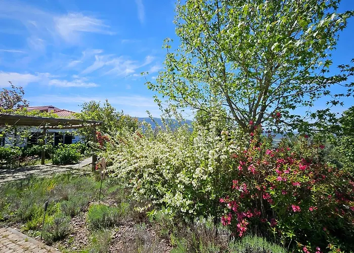 Coja Mountain Perch Villa Vinho (Coimbra)